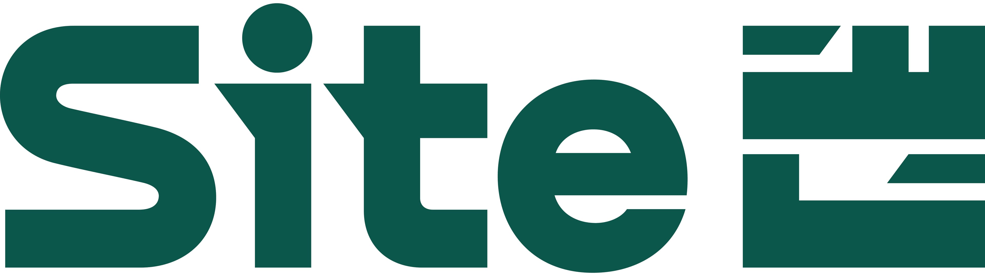Saudi Information Technology Company (SITE)